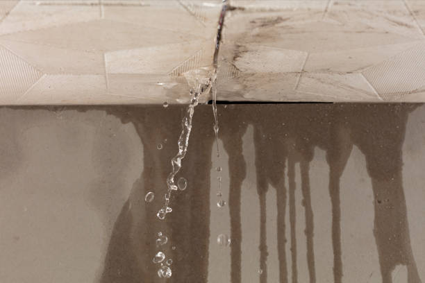 Professional Water Damage Repair technician working in Delphos, OH
